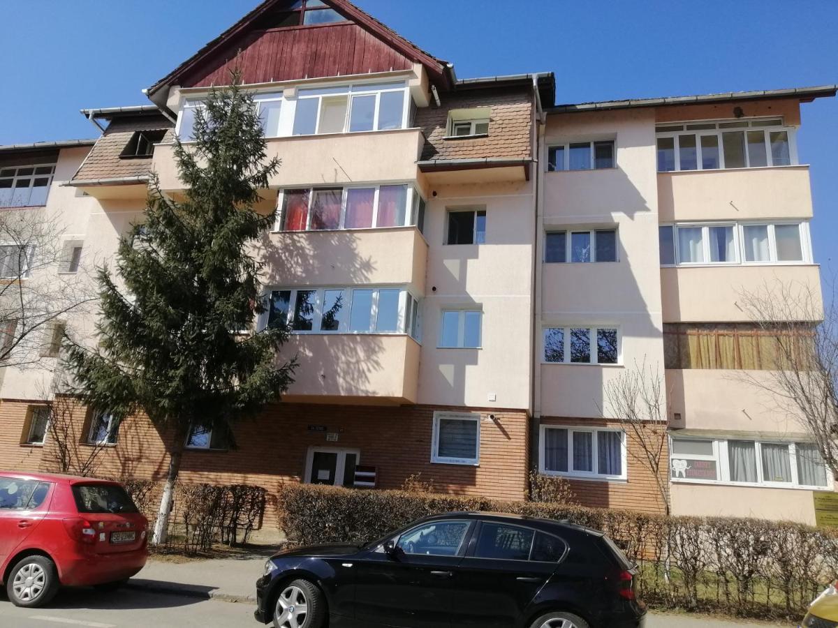 Studio Acasa Sibiu Exteriör bild